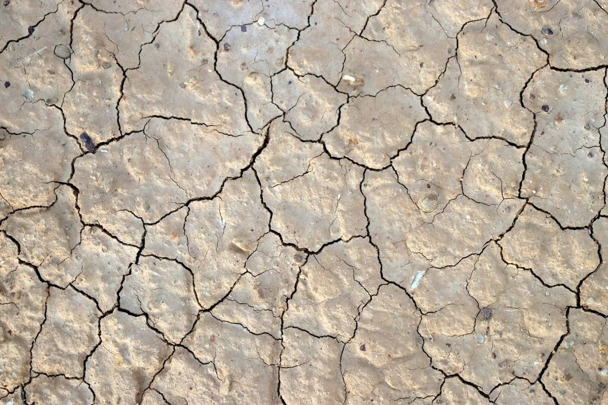 Dry, deeply cracked clay soil, similar to the expansive clay found under many DFW homes